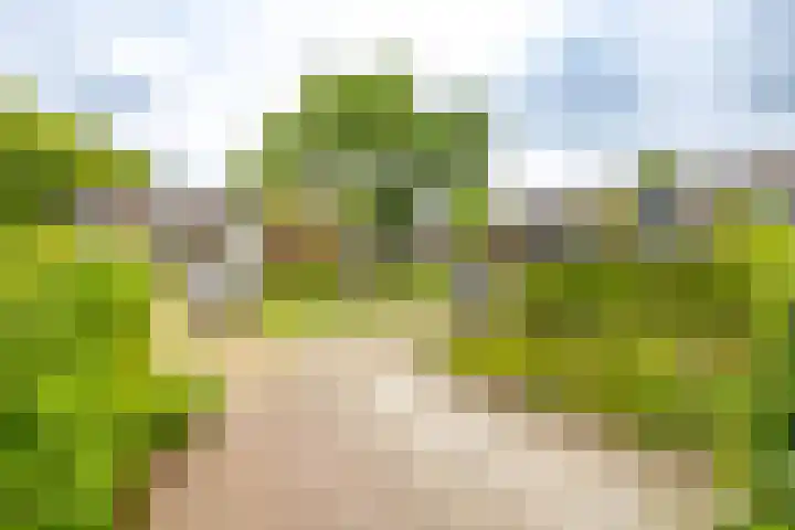 Golfslag 83 Groningen thumbnail 40