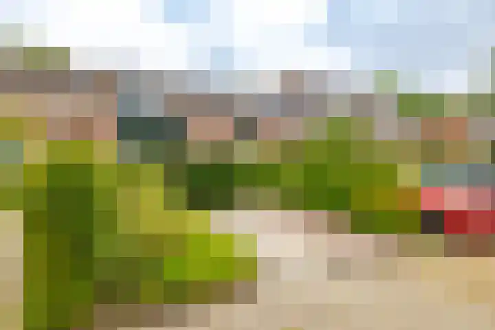 Golfslag 83 Groningen thumbnail 41