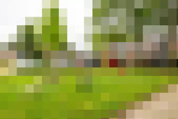 Golfslag 83 Groningen thumbnail 42