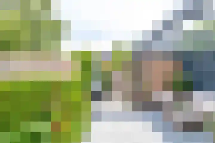 Golfslag 83 Groningen thumbnail 5