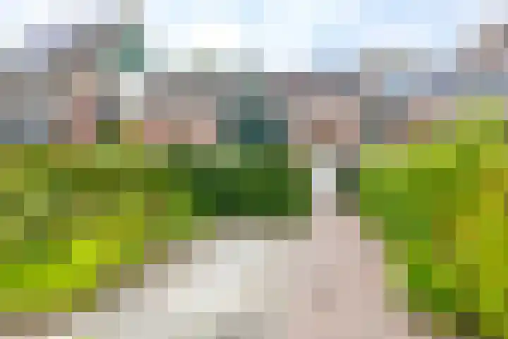 Golfslag 83 Groningen thumbnail 7