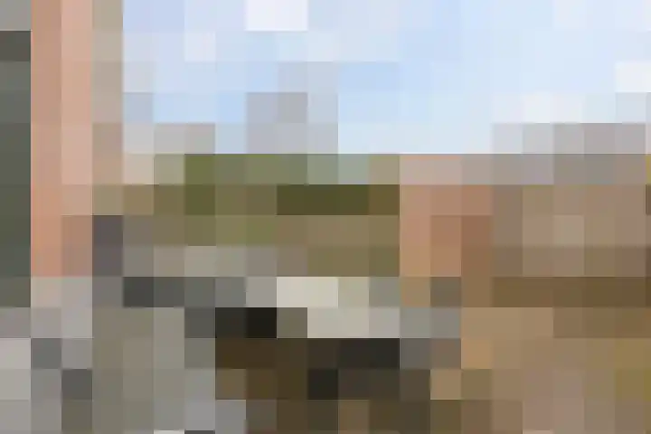 Golfslag 85 Groningen thumbnail 35