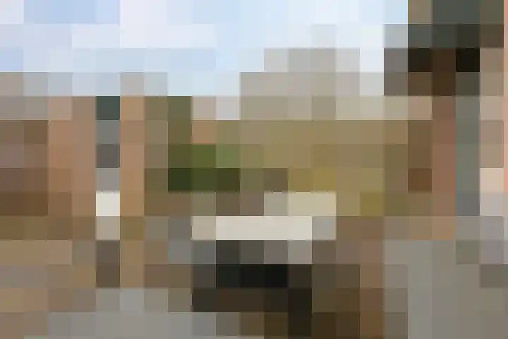 Golfslag 85 Groningen thumbnail 38