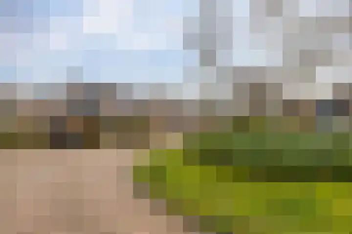 Golfslag 85 Groningen thumbnail 40