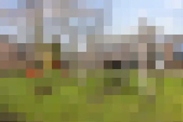 Golfslag 85 Groningen thumbnail 41