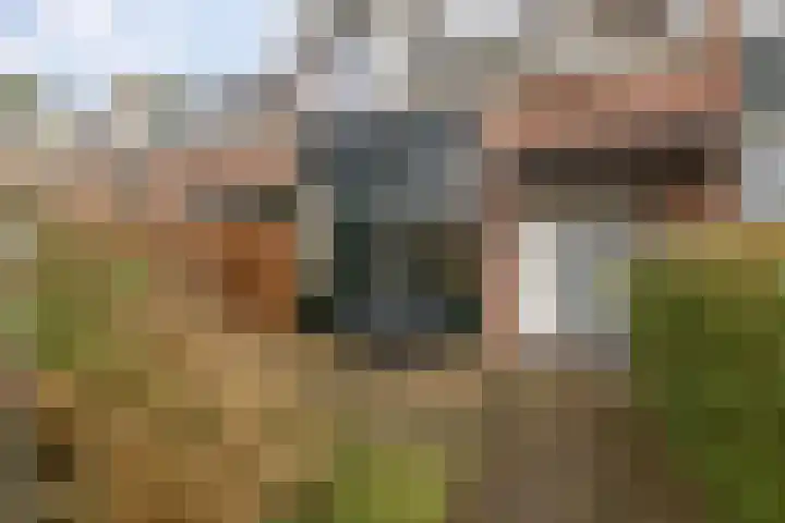 Golfslag 85 Groningen thumbnail 9