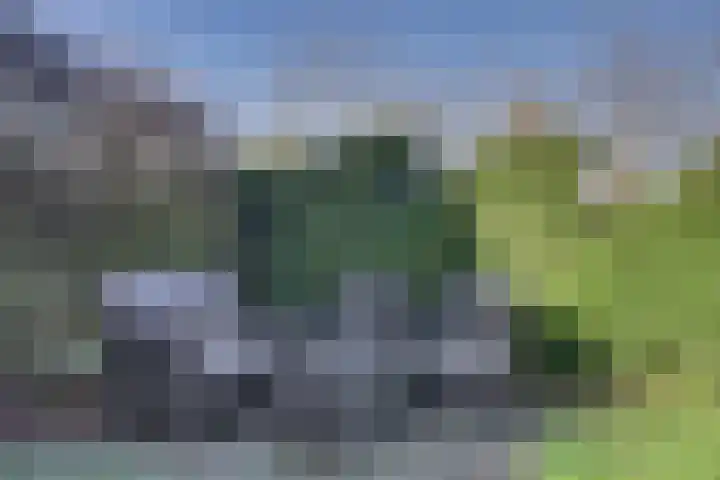Golfslag 9 Kamperland thumbnail 21