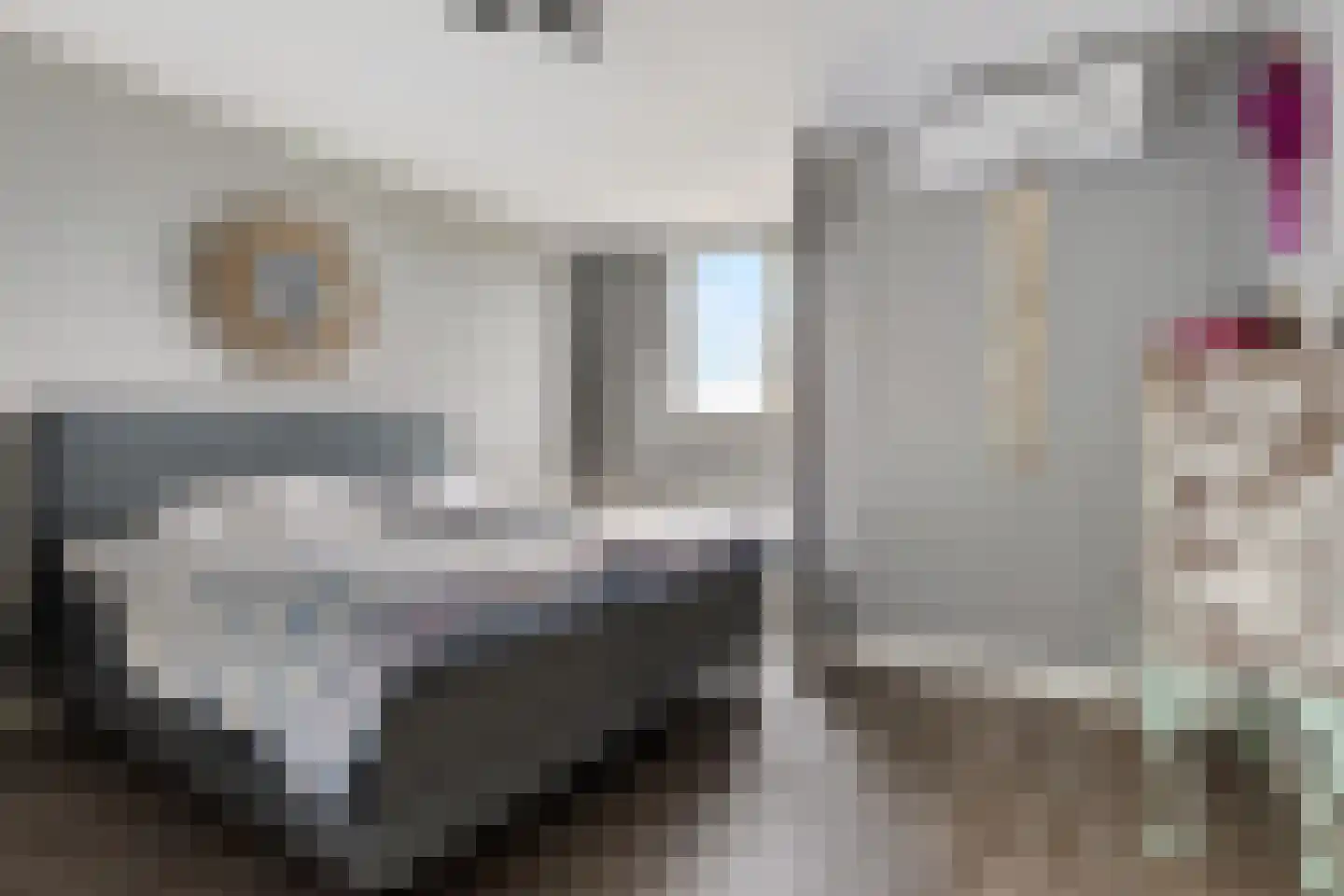 Golfstroom 146 Huizen thumbnail 12