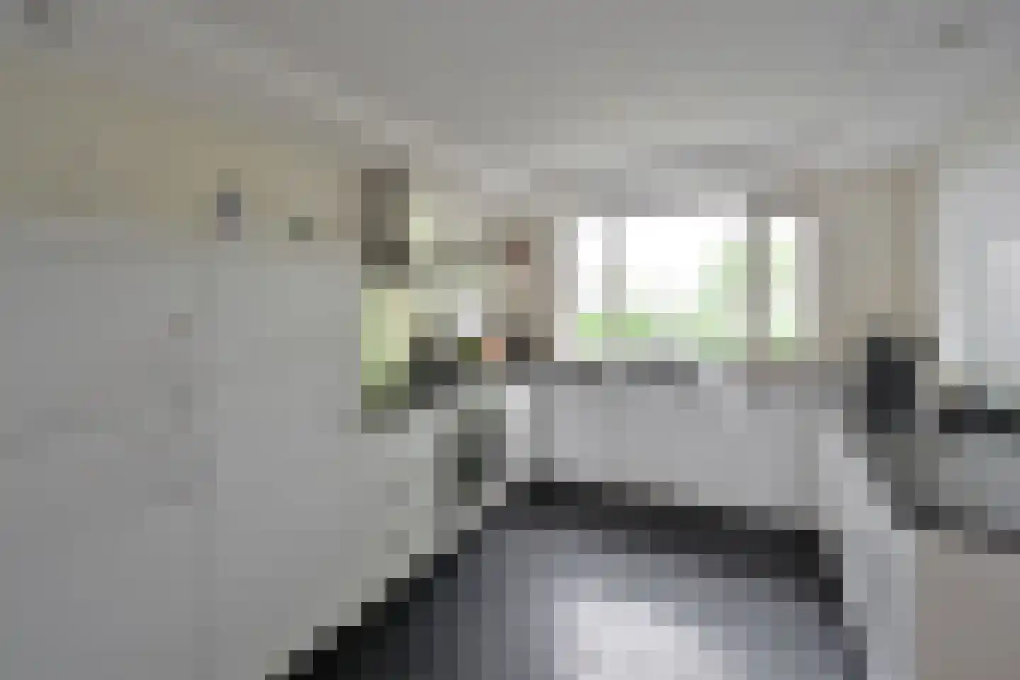 Golfstroom 188 Huizen thumbnail 7