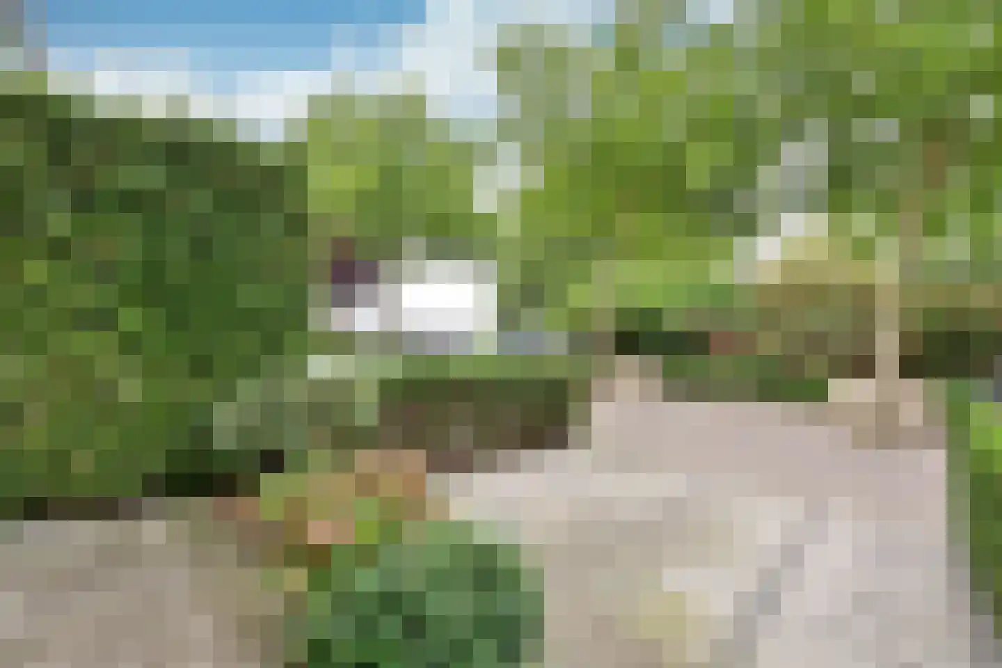 Golfstroom 206 Huizen thumbnail 13
