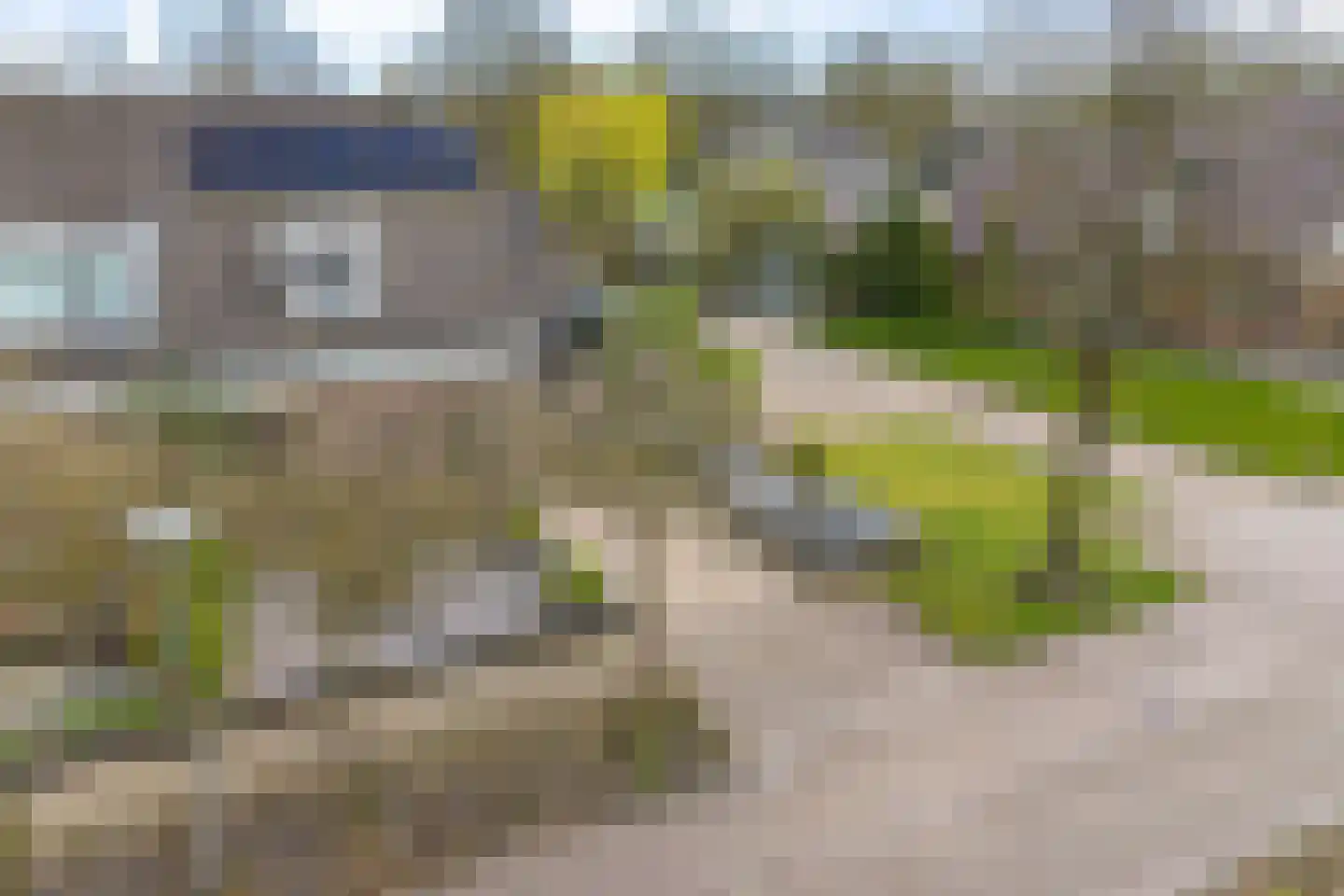 Golle 19 Ureterp thumbnail 47