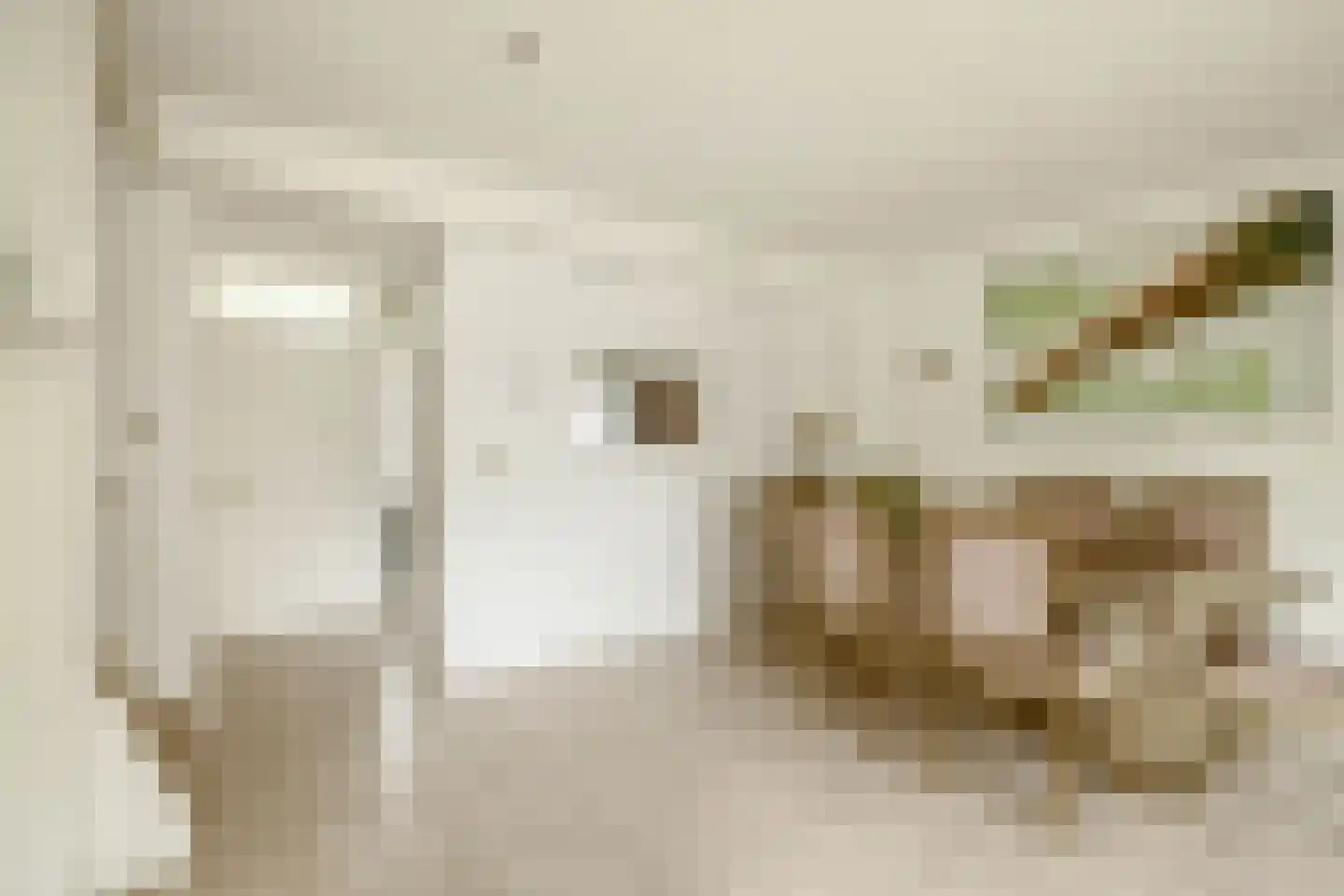 Golofkinstraat 35 Zaandam thumbnail 12