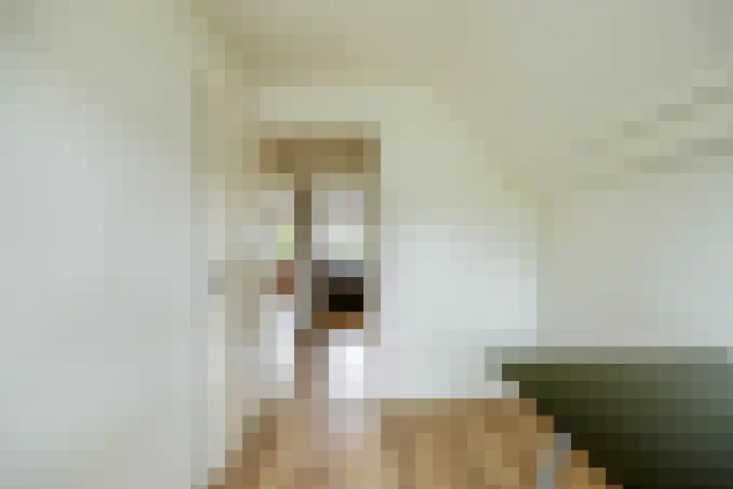 Golofkinstraat 35 Zaandam thumbnail 31