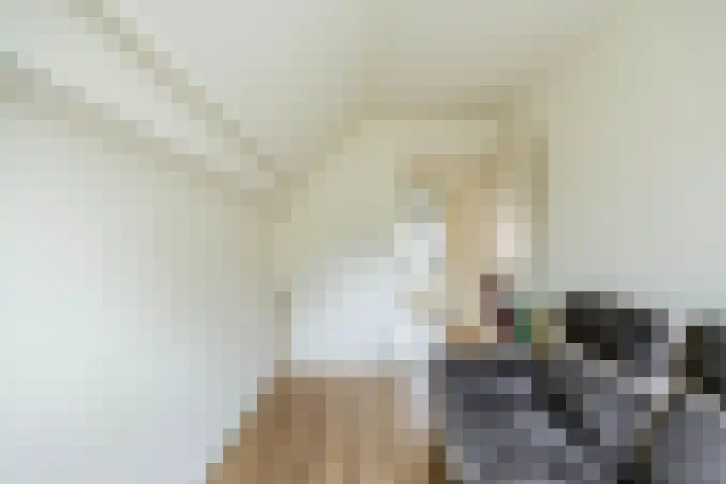 Golofkinstraat 35 Zaandam thumbnail 33