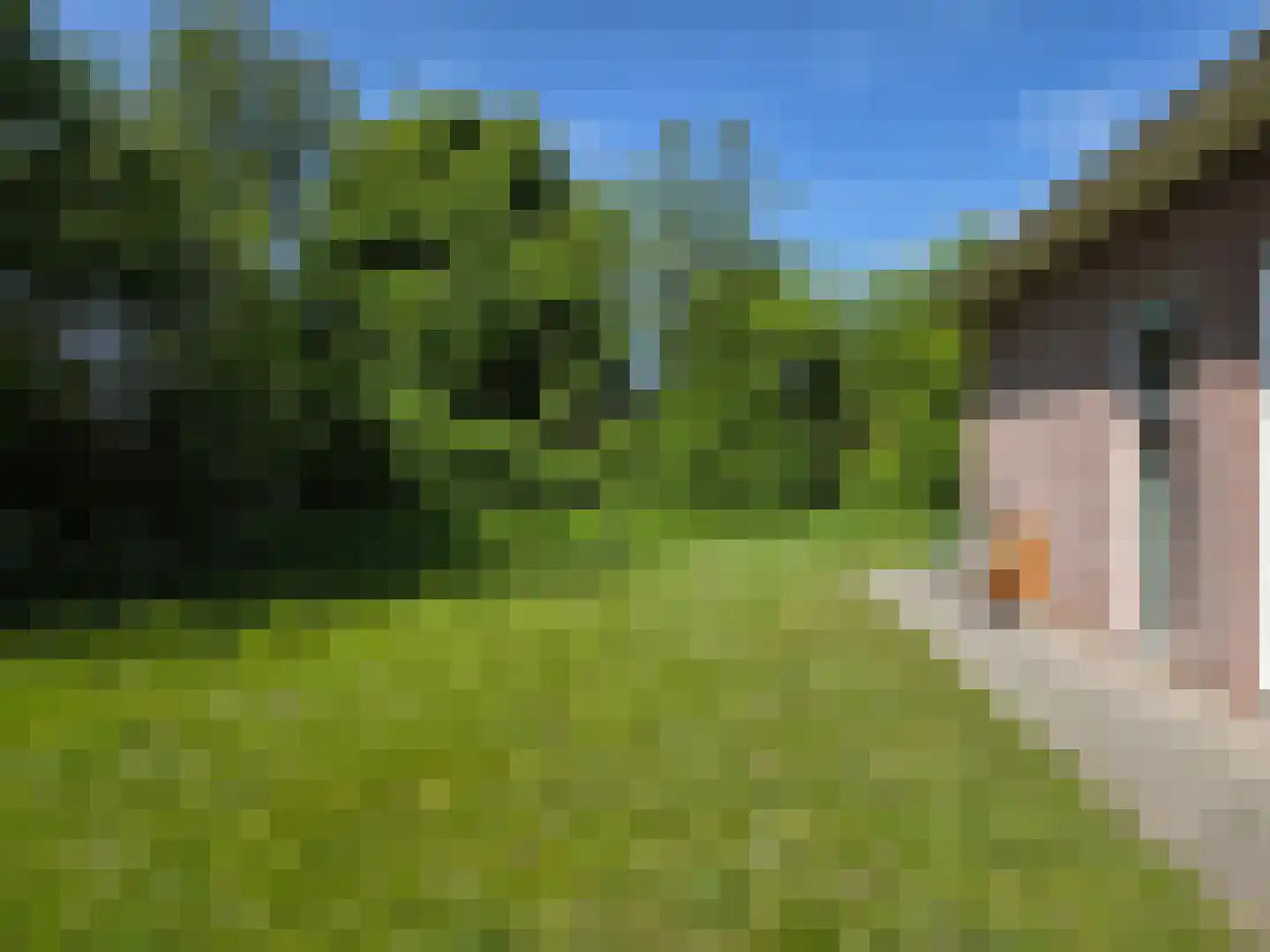Golsteinseweg 6 Middelburg thumbnail 56