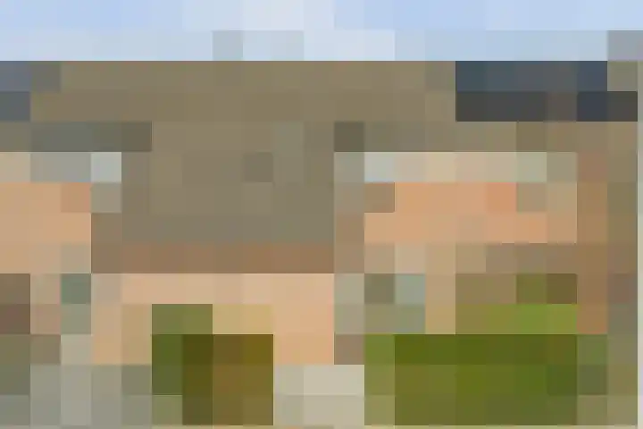 Goltackers 28 Westervoort thumbnail 31