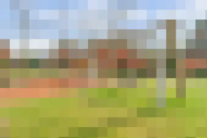 Goltackers 28 Westervoort thumbnail 32