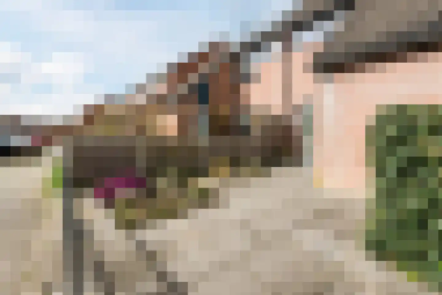 Goltackers 30 Westervoort thumbnail 4
