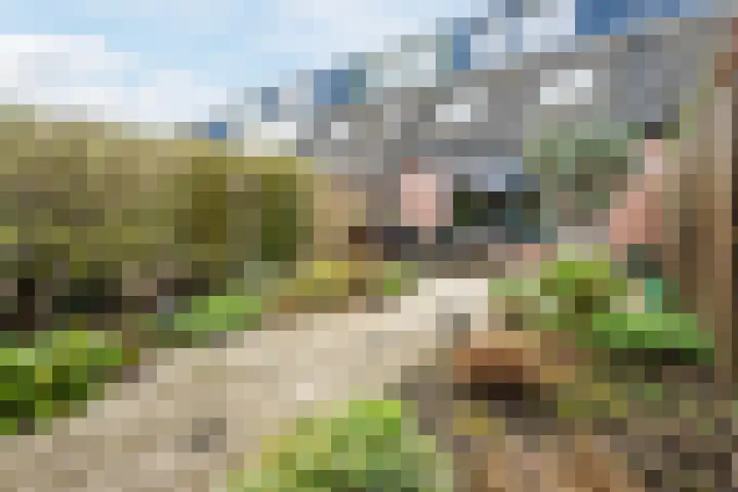 Goltackers 30 Westervoort thumbnail 56