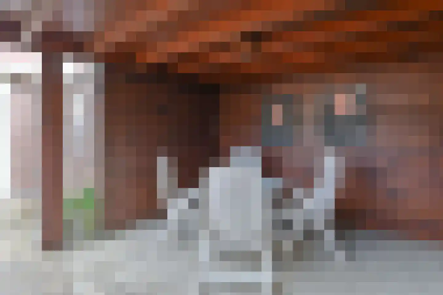 Goltguldenstraat 10 Hoogeveen thumbnail 47