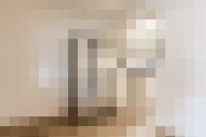 Goltguldenstraat 8 Hoogeveen thumbnail 12