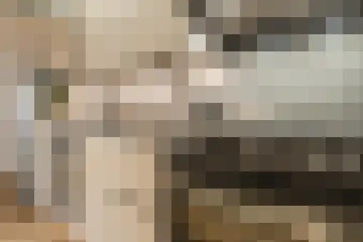 Goltguldenstraat 8 Hoogeveen thumbnail 16