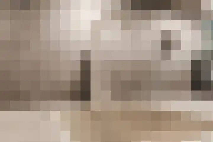 Goltguldenstraat 8 Hoogeveen thumbnail 19