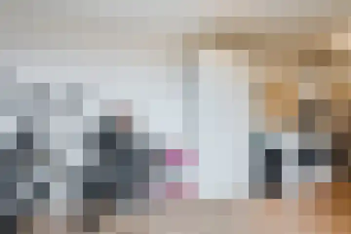 Goltguldenstraat 8 Hoogeveen thumbnail 21