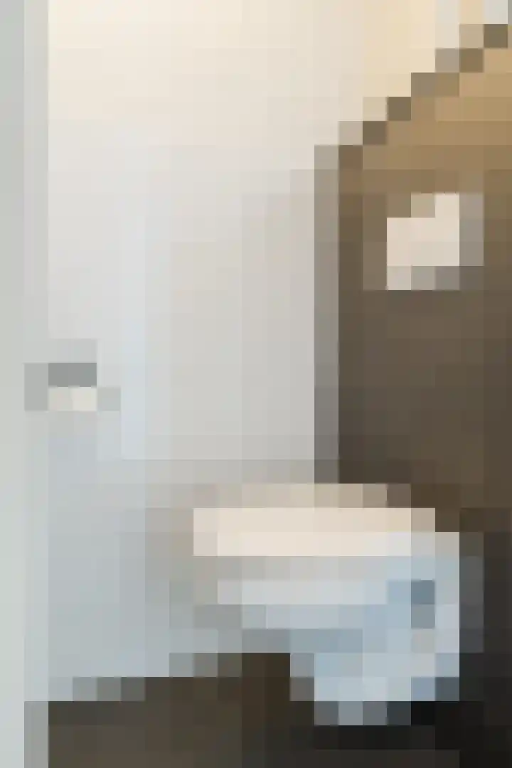 Goltguldenstraat 8 Hoogeveen thumbnail 24