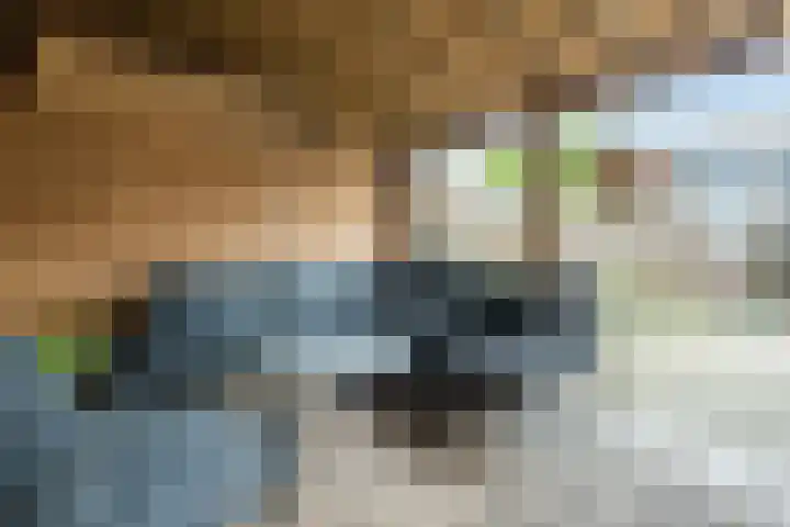 Goltguldenstraat 8 Hoogeveen thumbnail 39