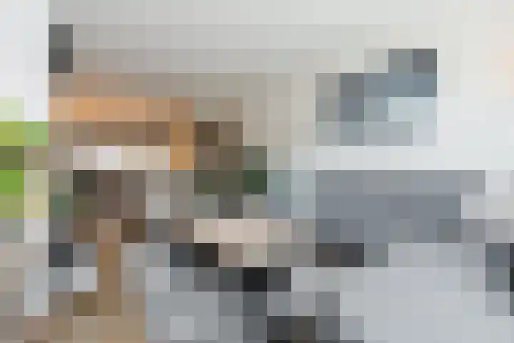 Goltguldenstraat 8 Hoogeveen thumbnail 4