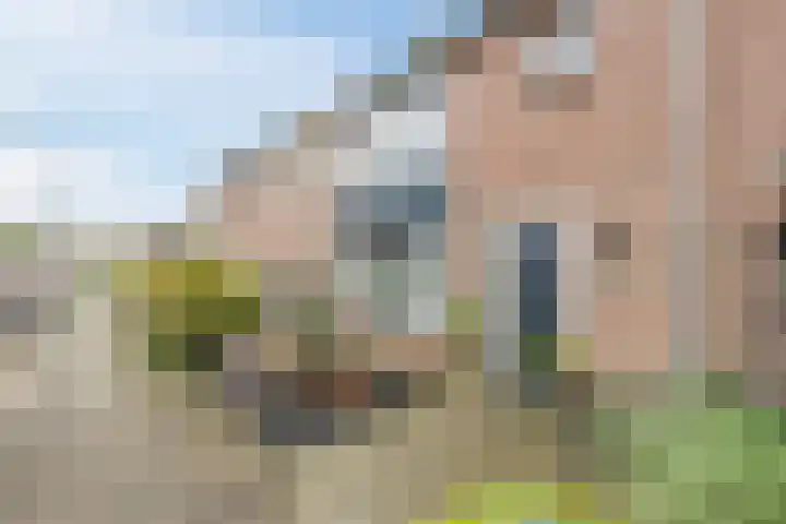 Goltguldenstraat 8 Hoogeveen thumbnail 44