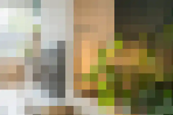 Goltguldenstraat 8 Hoogeveen thumbnail 7