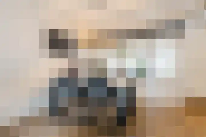 Goltguldenstraat 8 Hoogeveen thumbnail 8