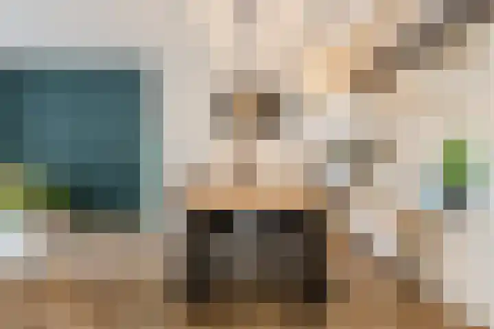 Goltguldenstraat 8 Hoogeveen thumbnail 9
