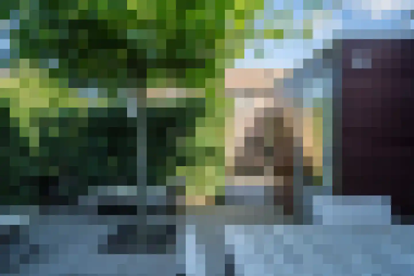 Goltziusstraat 13 Maastricht thumbnail 25