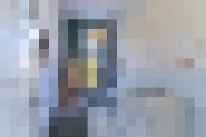 Goltziusstraat 18 Venlo thumbnail 18