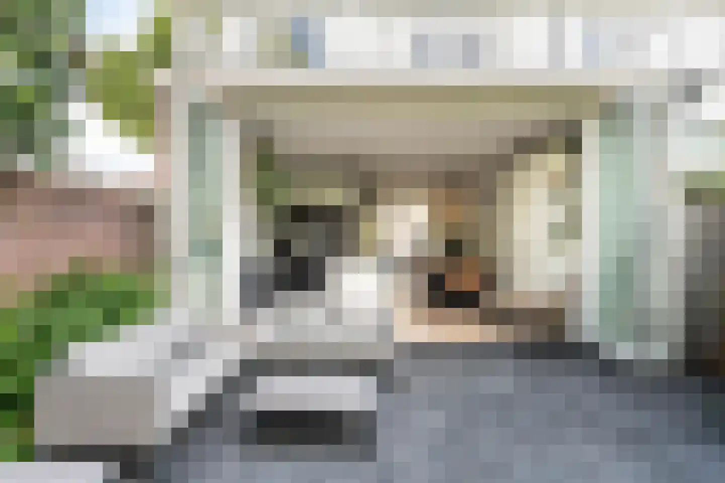 Goltziusstraat 2 Haarlem thumbnail 18