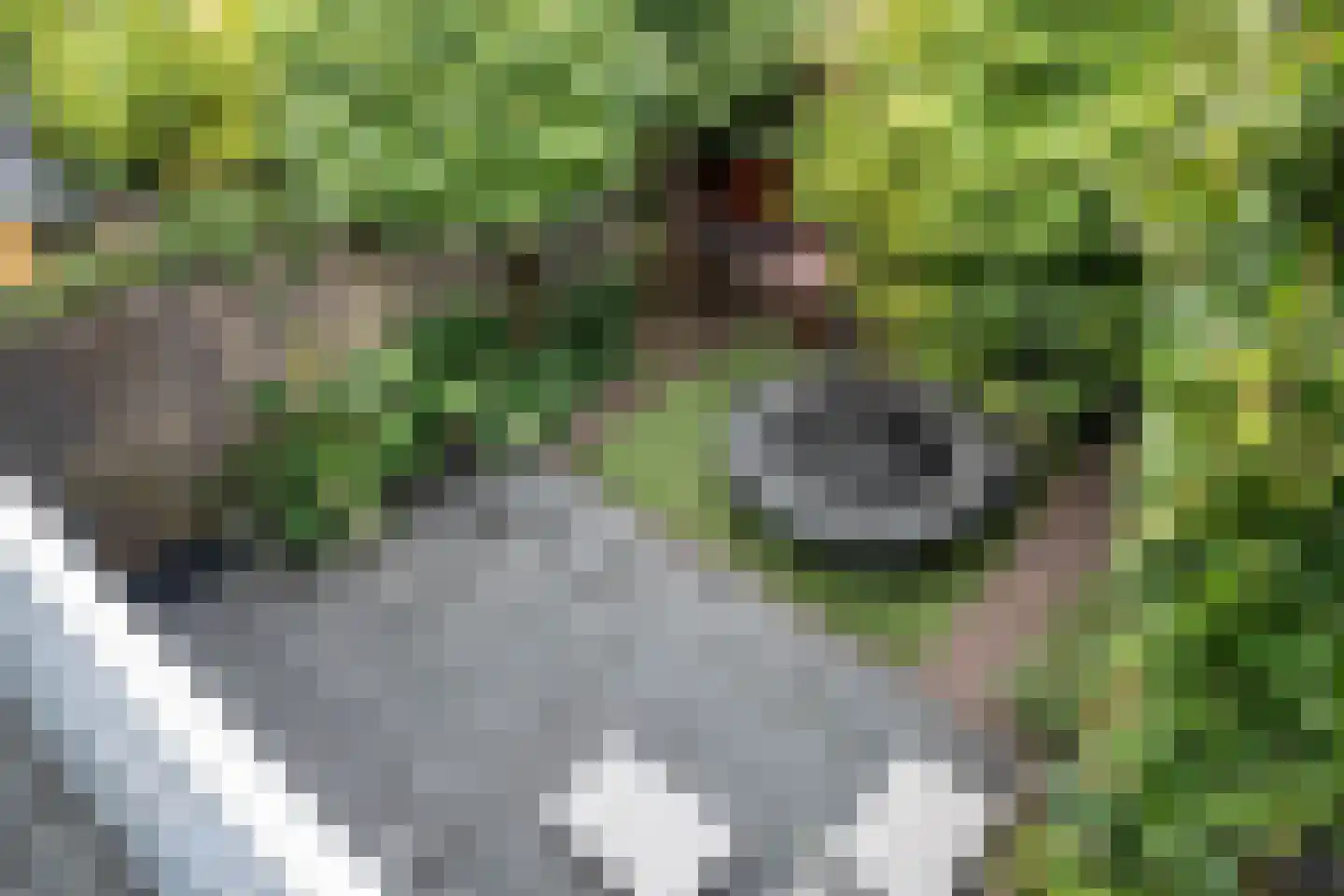 Goltziusstraat 2 Haarlem thumbnail 31