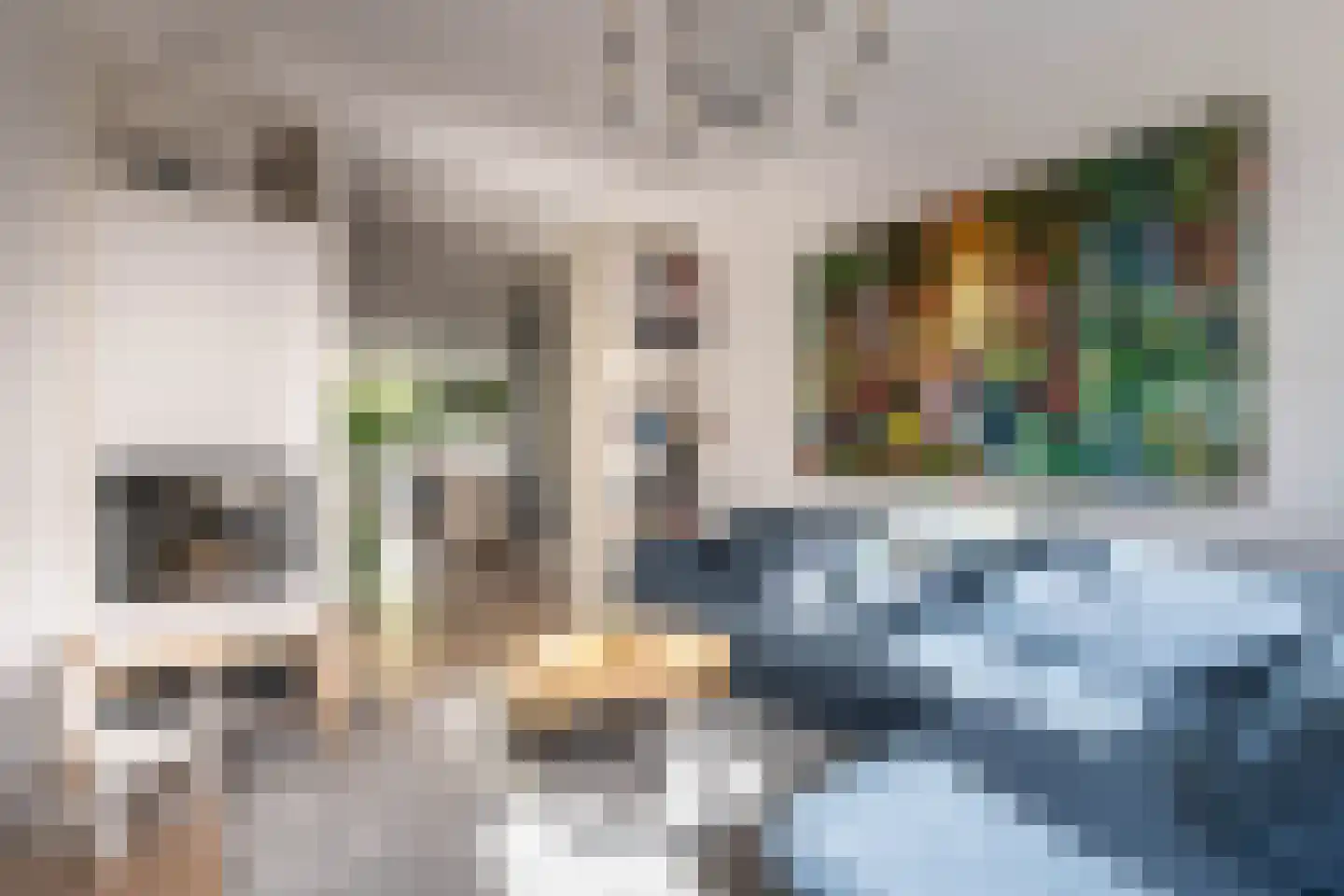 Goltziusstraat 2 Haarlem thumbnail 4