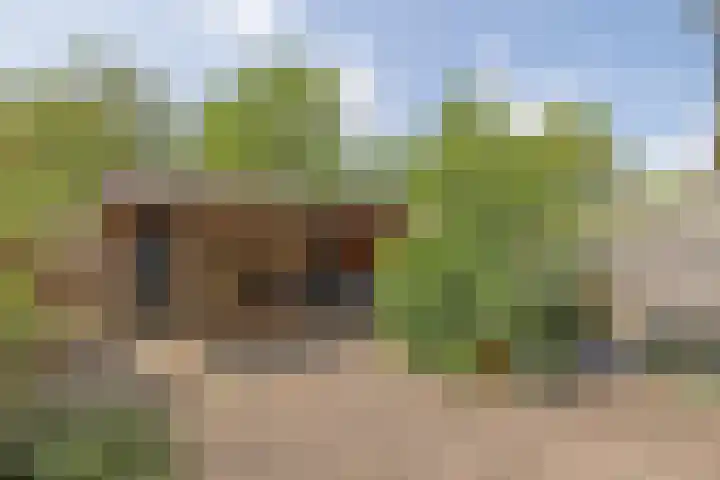 Gomarushof 112 Hilversum thumbnail 10