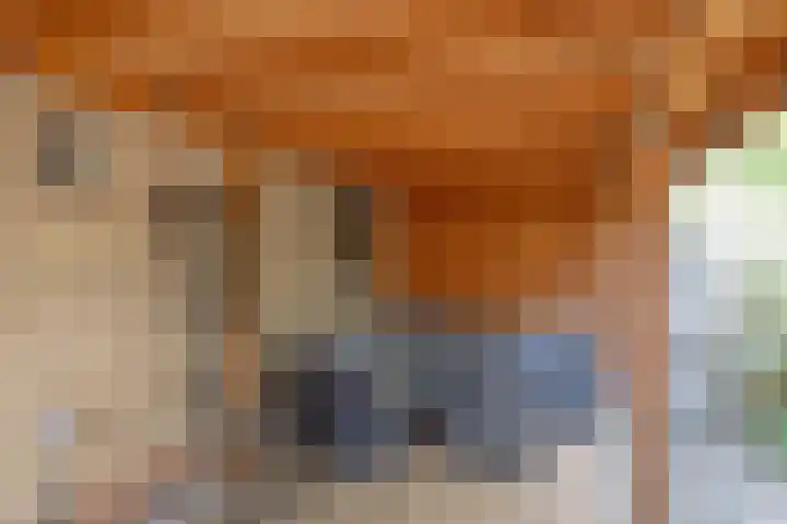 Gomarushof 112 Hilversum thumbnail 11
