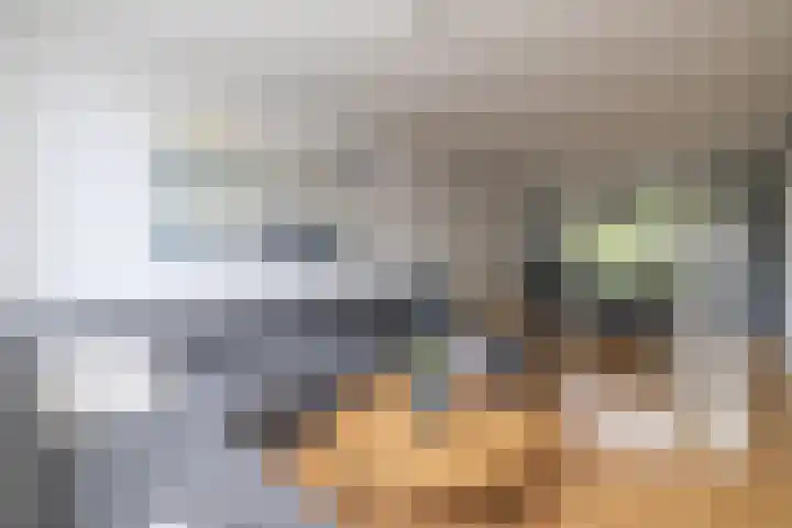 Gomarushof 112 Hilversum thumbnail 4