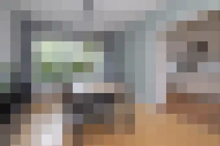 Gomarushof 112 Hilversum thumbnail 6