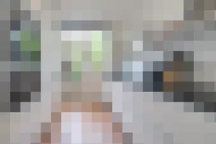 Gomarushof 112 Hilversum thumbnail 7