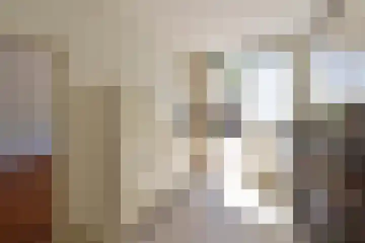 Gomarushof 114 Hilversum thumbnail 5
