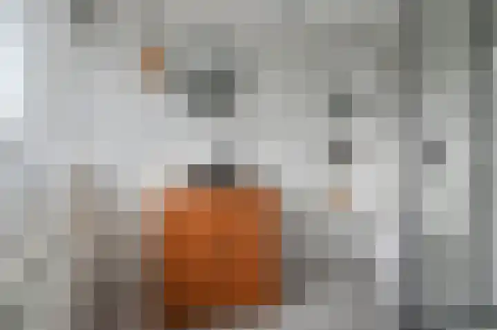 Gomarushof 30 Hilversum thumbnail 22