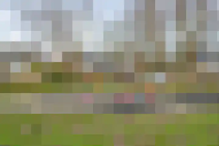 Gomarushof 30 Hilversum thumbnail 24