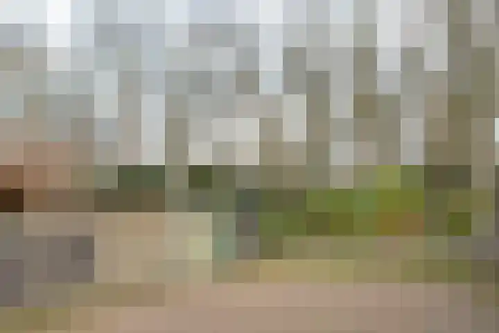 Gomarushof 30 Hilversum thumbnail 25