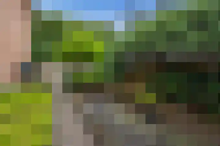 Gomarushof 38 Hilversum thumbnail 12